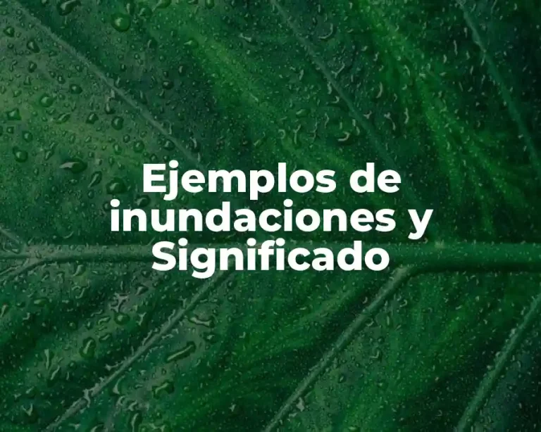 Ejemplos de inundaciones y Significado