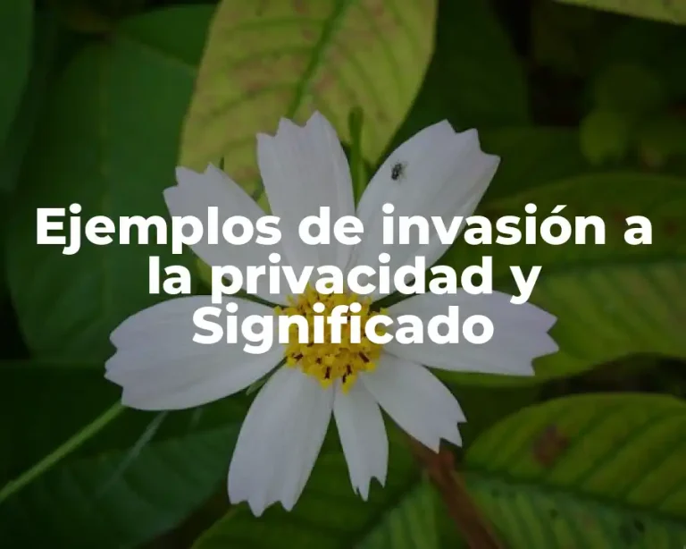 Ejemplos de invasión a la privacidad y Significado