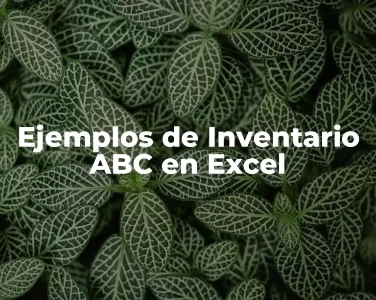 Ejemplos de Inventario ABC en Excel