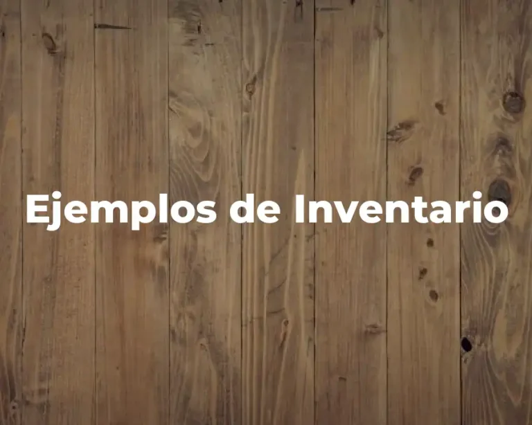 Ejemplos de Inventario