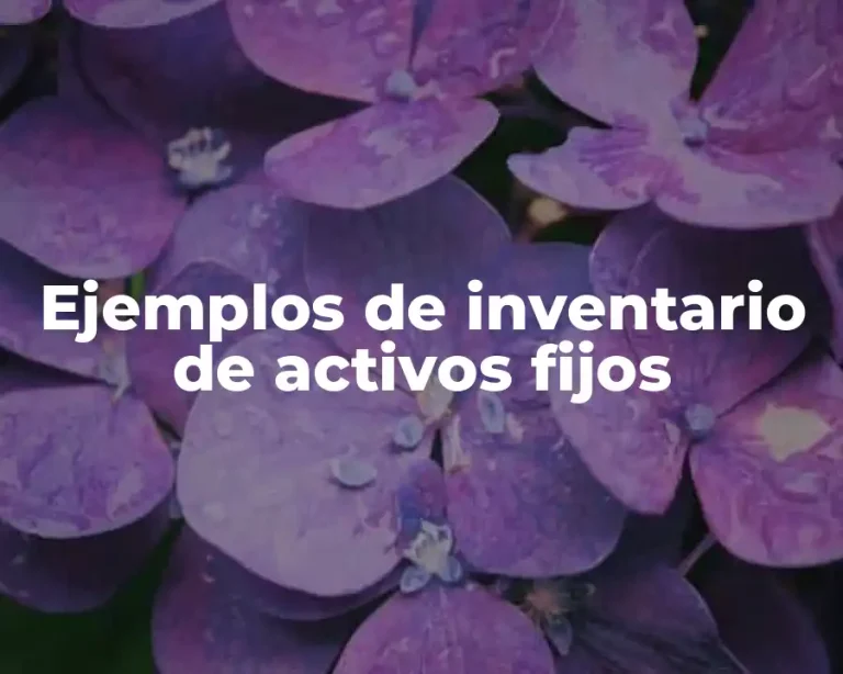 Ejemplos de inventario de activos fijos