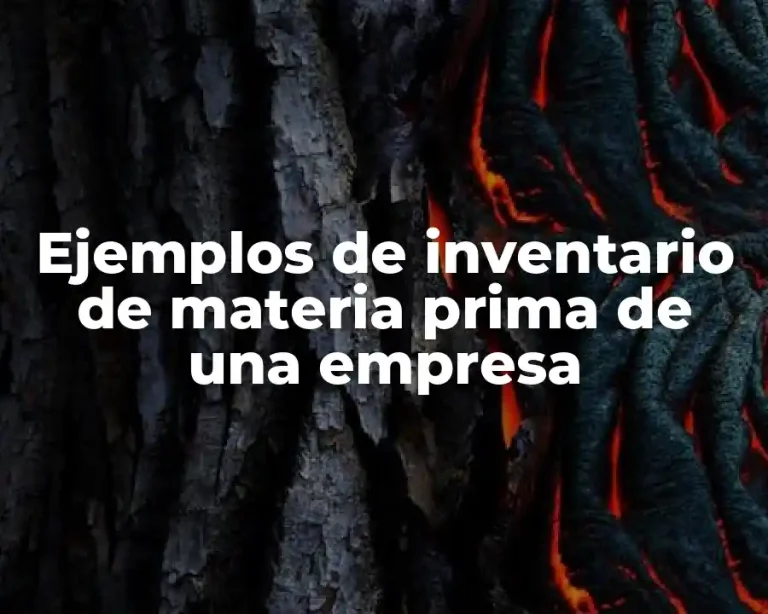 Ejemplos de inventario de materia prima de una empresa