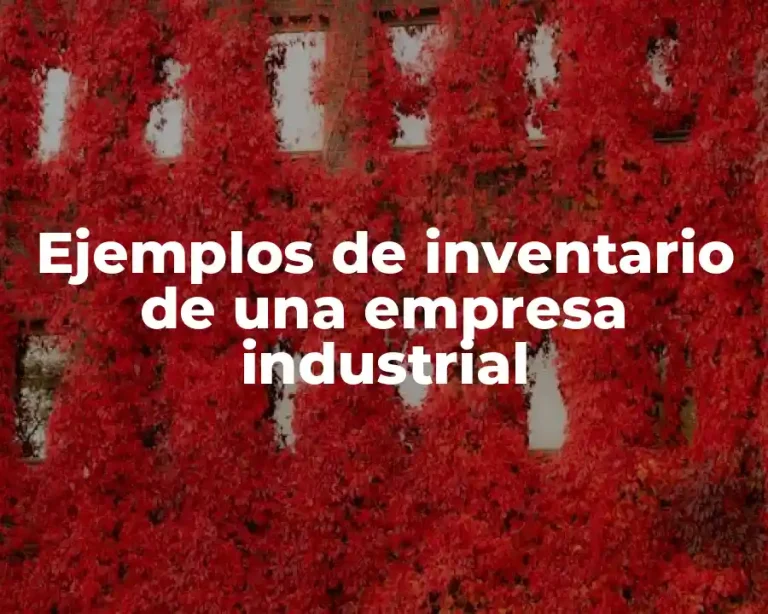 Ejemplos de inventario de una empresa industrial