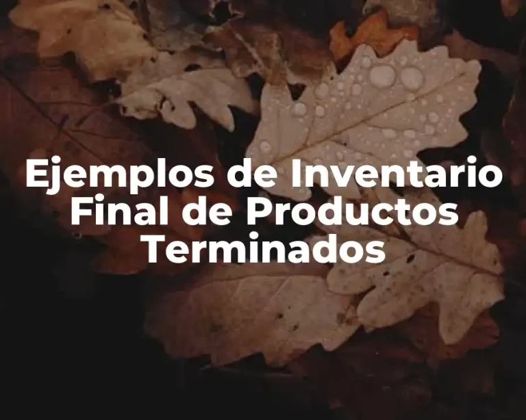 Ejemplos de Inventario Final de Productos Terminados