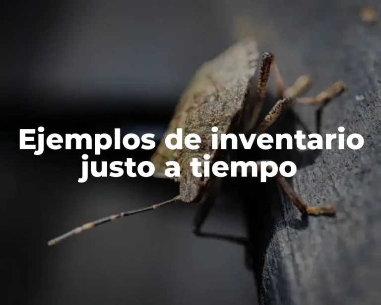 Ejemplos de inventario justo a tiempo