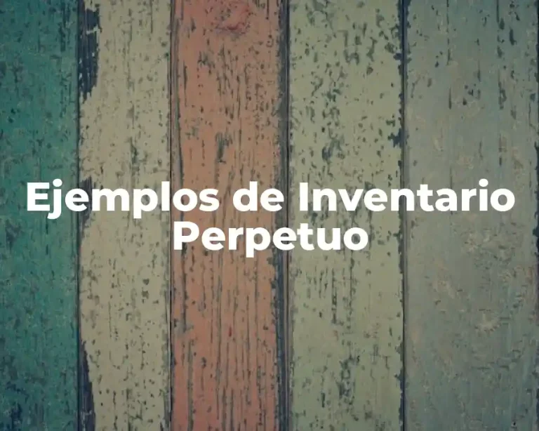 Ejemplos de Inventario Perpetuo