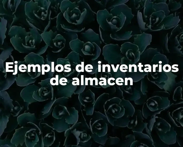 Ejemplos de inventarios de almacen