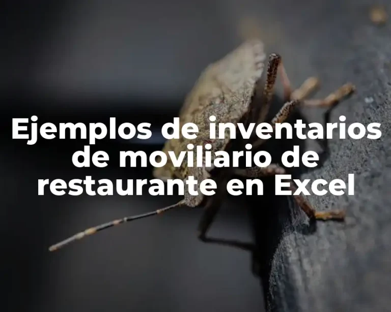 Ejemplos de inventarios de moviliario de restaurante en Excel