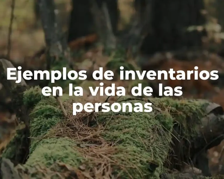 Ejemplos de inventarios en la vida de las personas