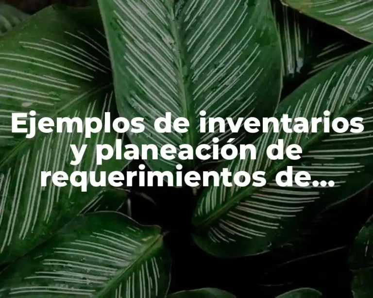 Ejemplos de inventarios y planeación de requerimientos de materiales