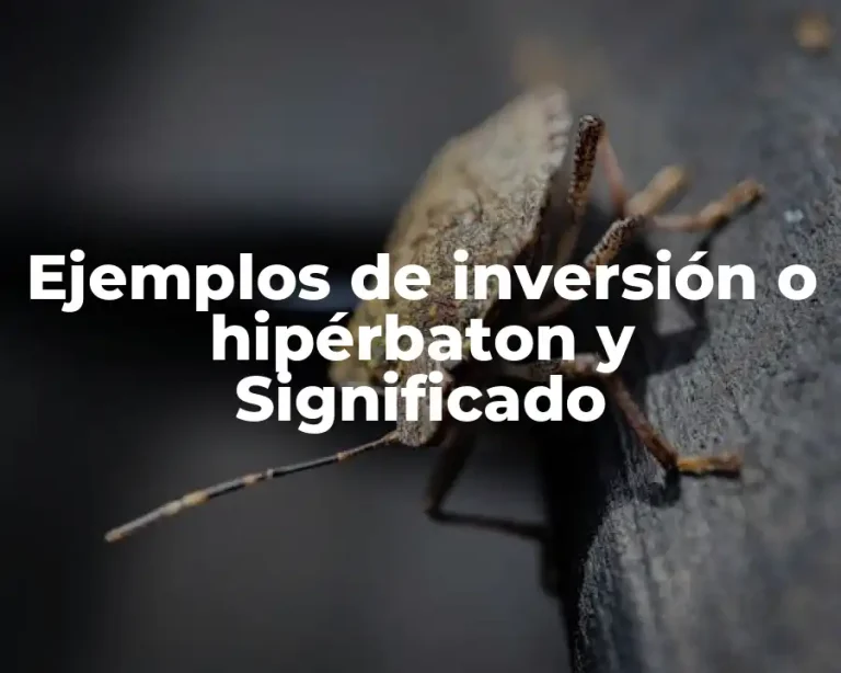 Ejemplos de inversión o hipérbaton y Significado