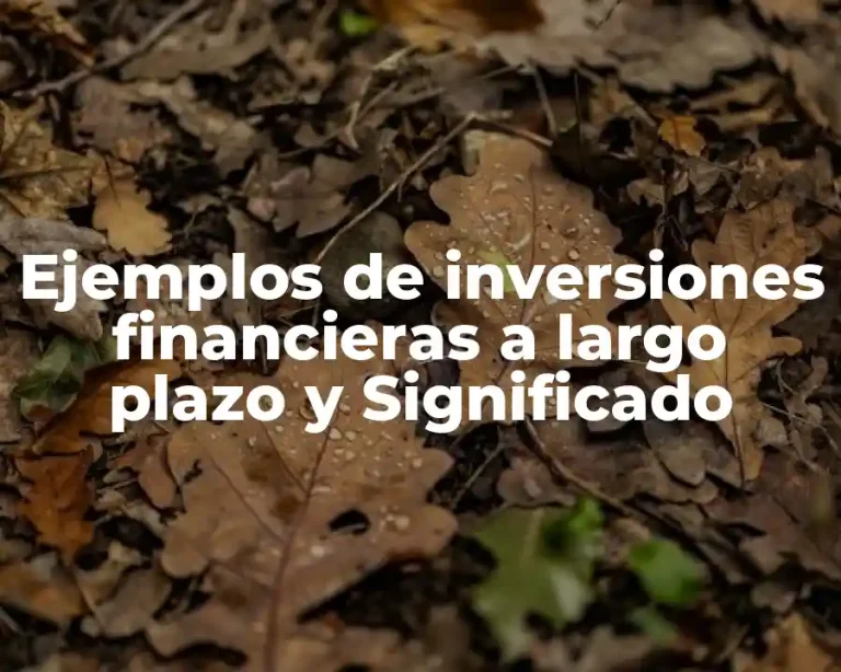 Ejemplos de inversiones financieras a largo plazo y Significado