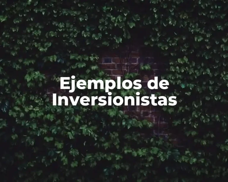 Ejemplos de Inversionistas