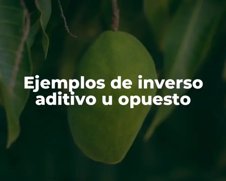 Ejemplos de inverso aditivo u opuesto