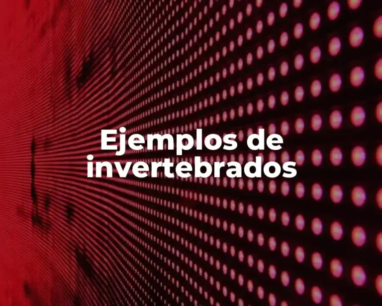 Ejemplos de invertebrados