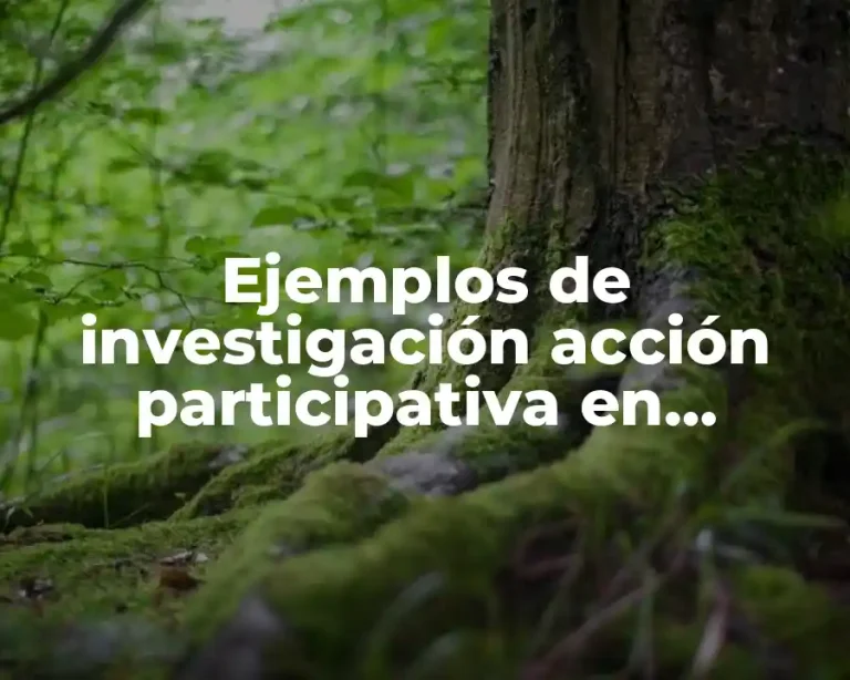 Ejemplos de investigación acción participativa en educación y Significado