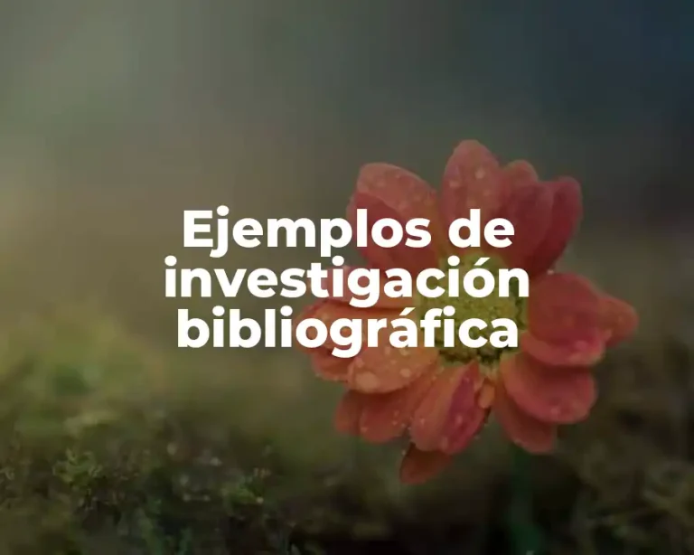 Ejemplos de investigación bibliográfica