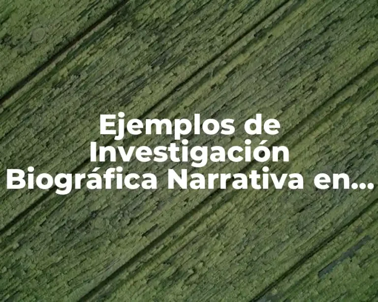 Ejemplos de Investigación Biográfica Narrativa en Educación en México