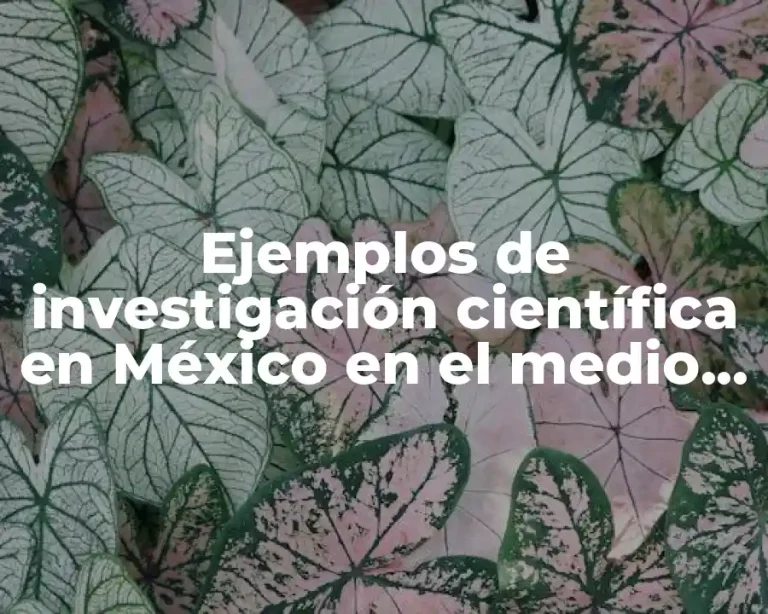Ejemplos de investigación científica en México en el medio ambiente
