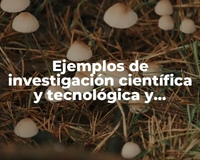 Ejemplos de investigación científica y tecnológica y Significado