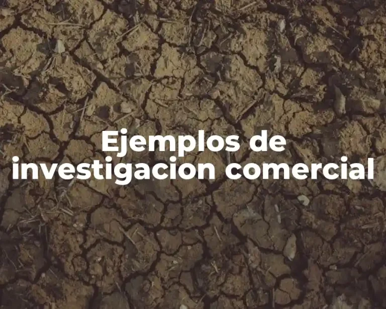 Ejemplos de investigacion comercial