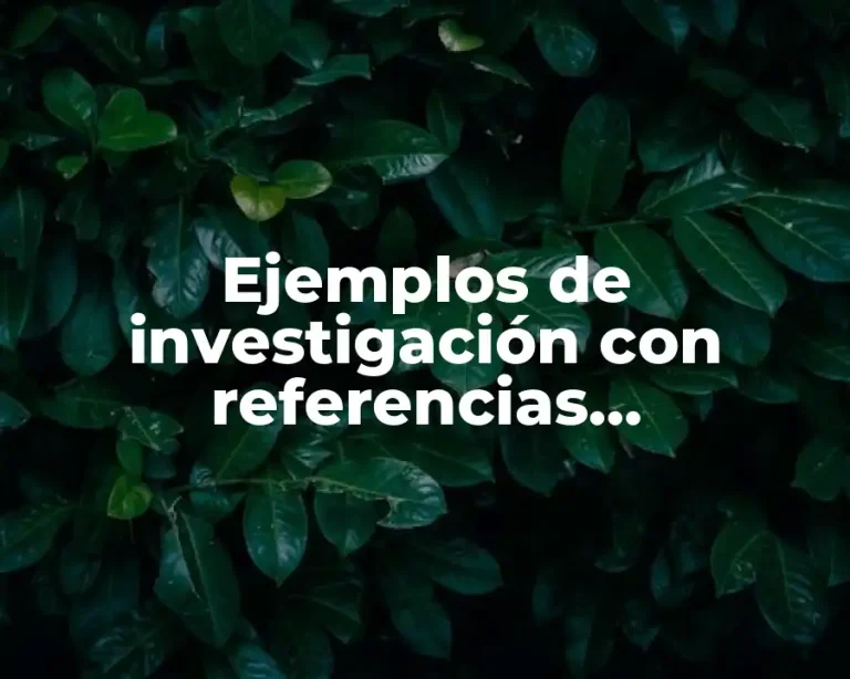 Ejemplos de investigación con referencias bibliográficas y citas y Significado
