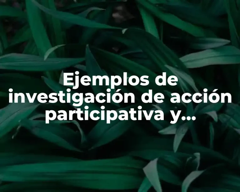 Ejemplos de investigación de acción participativa y Significado