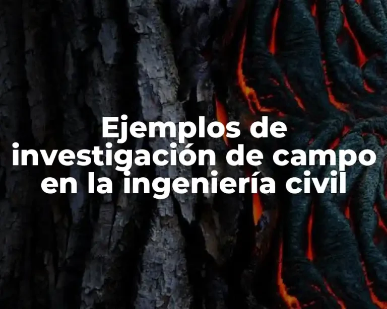 Ejemplos de investigación de campo en la ingeniería civil