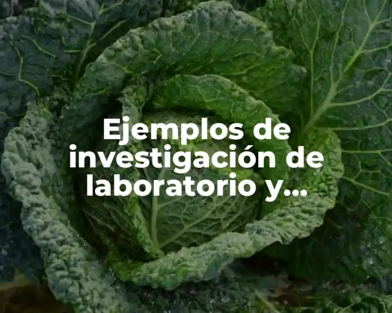 Ejemplos de investigación de laboratorio y Significado