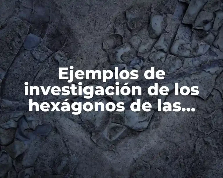 Ejemplos de investigación de los hexágonos de las abejas