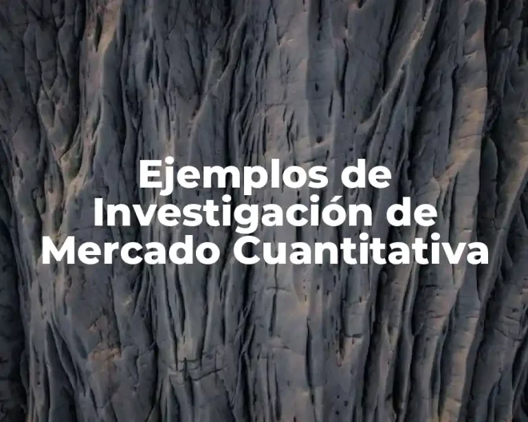 Ejemplos de Investigación de Mercado Cuantitativa