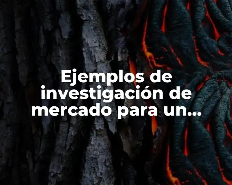 Ejemplos de investigación de mercado para un producto nuevo y Significado