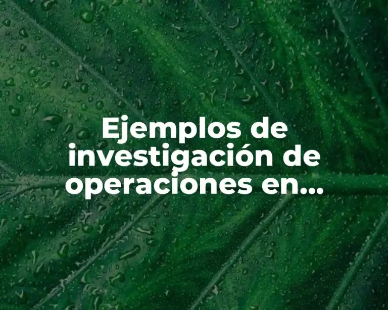 Ejemplos de investigación de operaciones en empresas