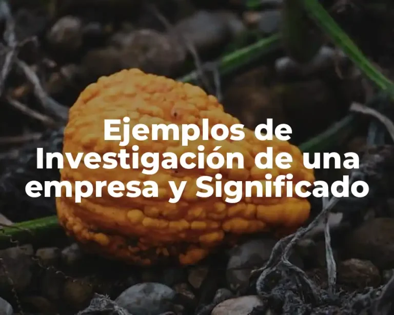 Ejemplos de Investigación de una empresa y Significado