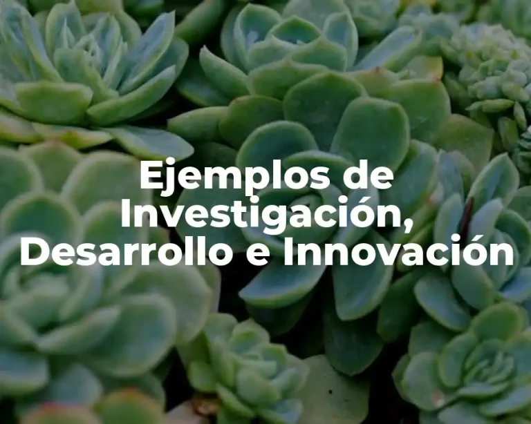 Ejemplos de Investigación, Desarrollo e Innovación