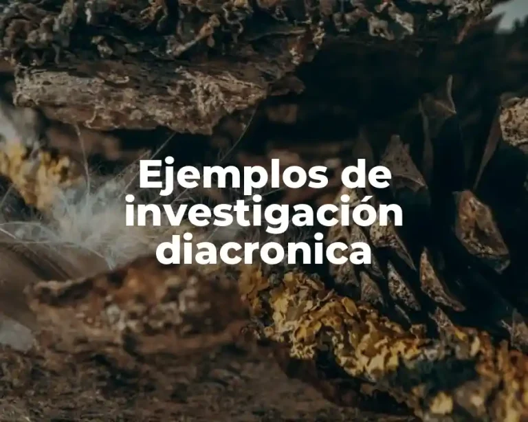 Ejemplos de investigación diacronica