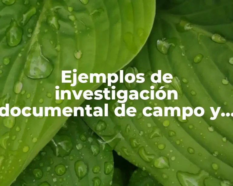 Ejemplos de investigación documental de campo y experimental