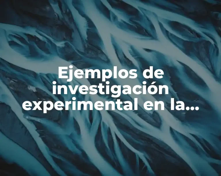 Ejemplos de investigación experimental en la rama del derecho