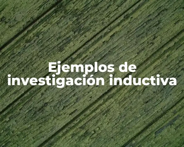 Ejemplos de investigación inductiva