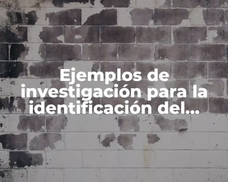 Ejemplos de investigación para la identificación del problema