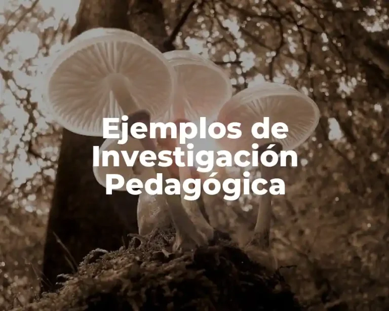 Ejemplos de Investigación Pedagógica