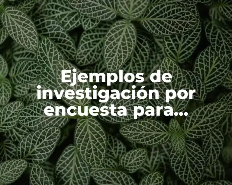 Ejemplos de investigación por encuesta para investigación de mercados
