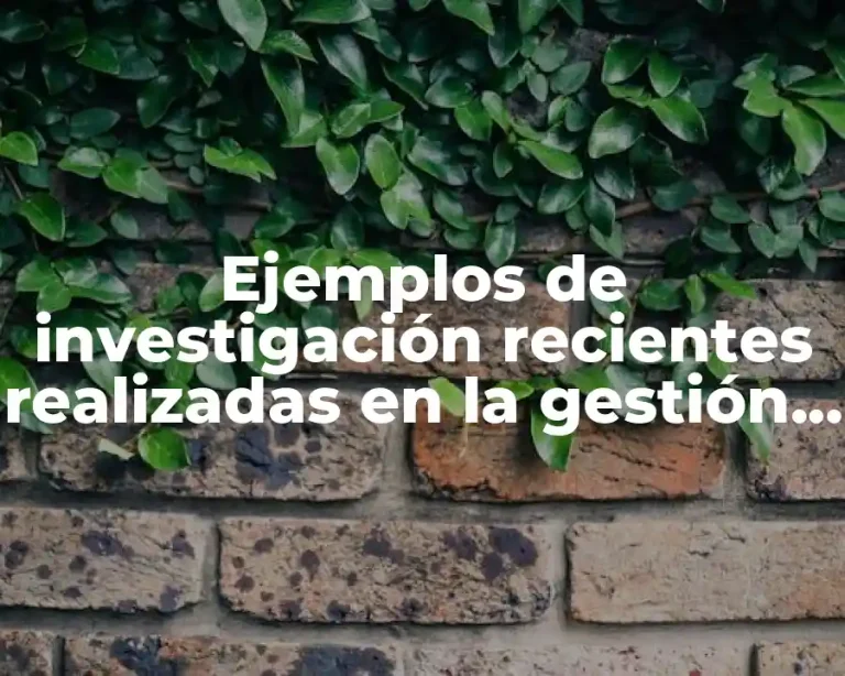 Ejemplos de investigación recientes realizadas en la gestión empresarial