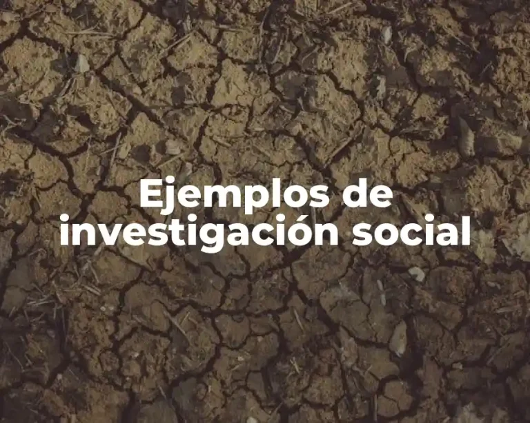 Ejemplos de investigación social