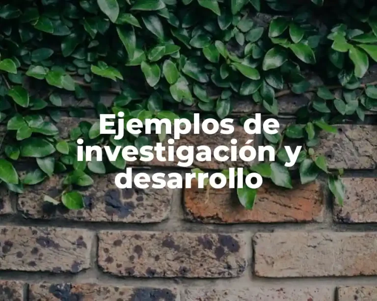 Ejemplos de investigación y desarrollo