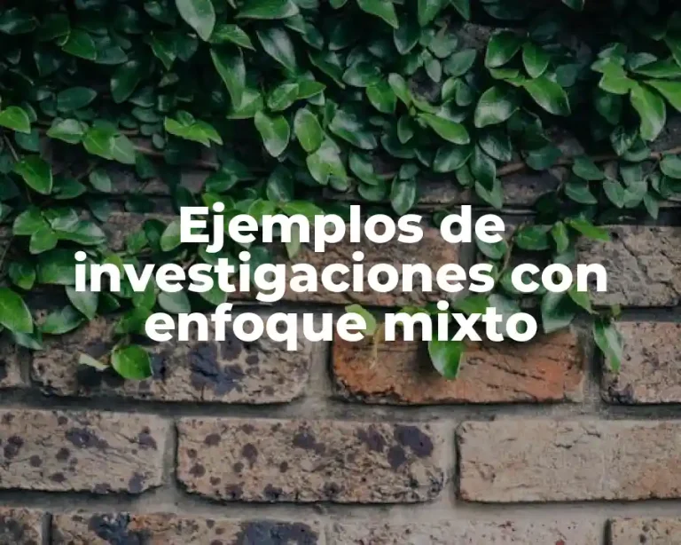 Ejemplos de investigaciones con enfoque mixto