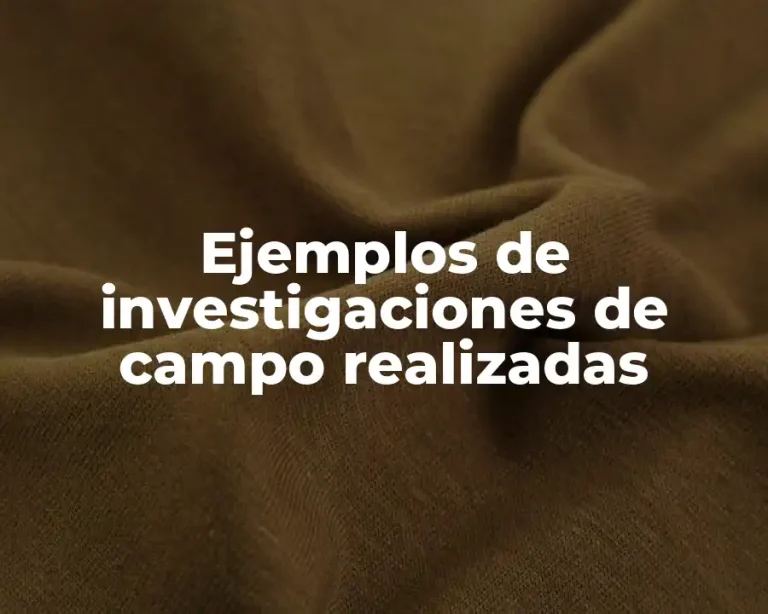 Ejemplos de investigaciones de campo realizadas