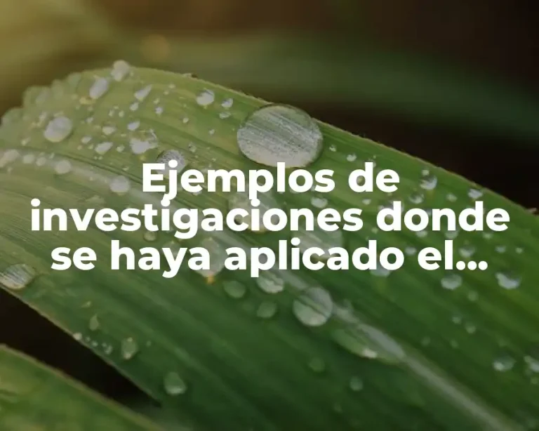 Ejemplos de investigaciones donde se haya aplicado el diseño experimental
