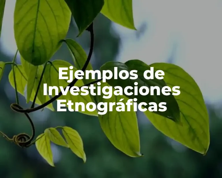 Ejemplos de Investigaciones Etnográficas