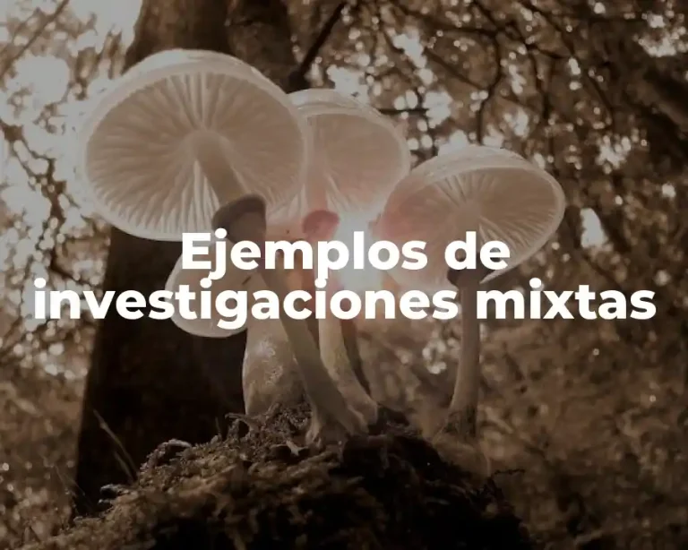 Ejemplos de investigaciones mixtas